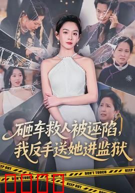 砸车救人被诬陷，我反手送她进监狱：正义反杀